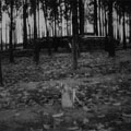 Site of the claymore mine explosion----VIETNAM "1966"