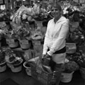 Shopping with my Daughter DANA
